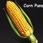 best corn puns and jokes