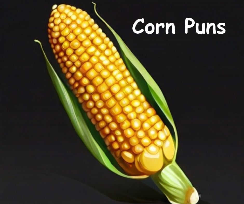 You are currently viewing 🌽 Best Corn Puns, Corn Jokes to Chop Up