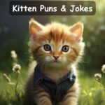 kitten puns and jokes