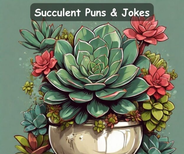 succulent puns and jokes