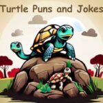 turtle puns and jokes