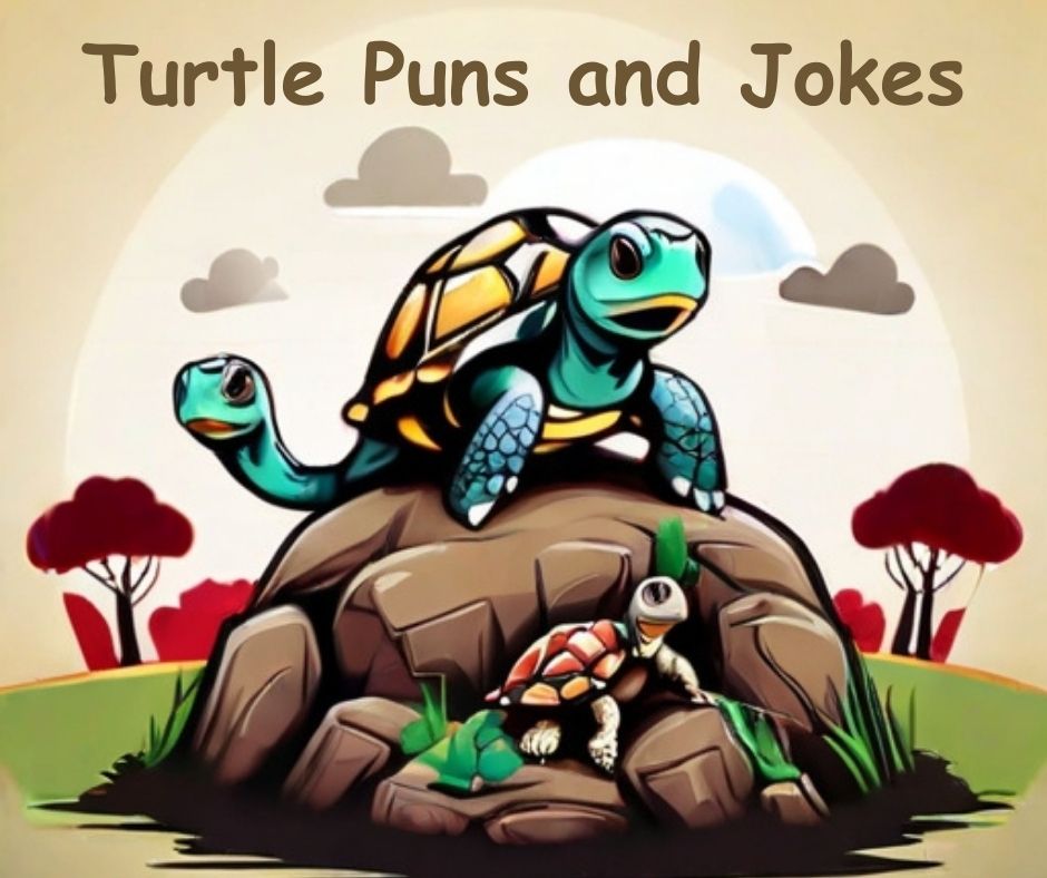 You are currently viewing 🐢 60+ Turtle Puns, Best Turtle Jokes 2 Take it Slow