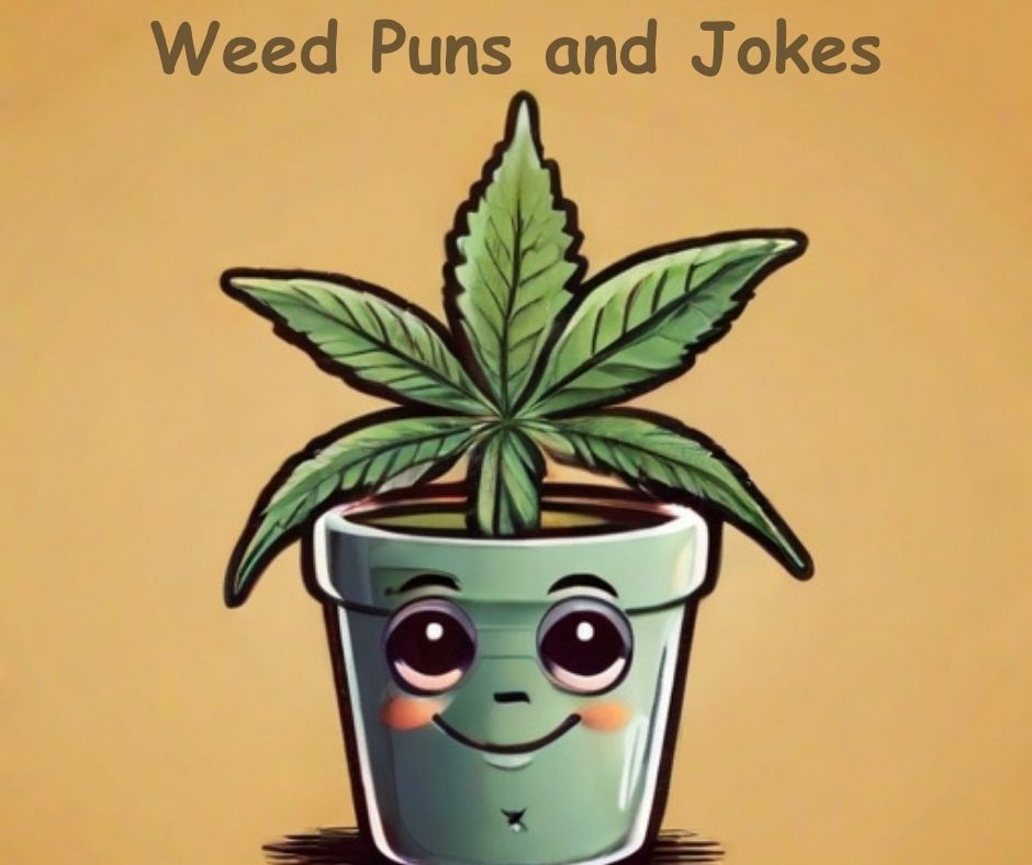 You are currently viewing 🌿 60+ Weed Puns, Weed Jokes to Puff 2