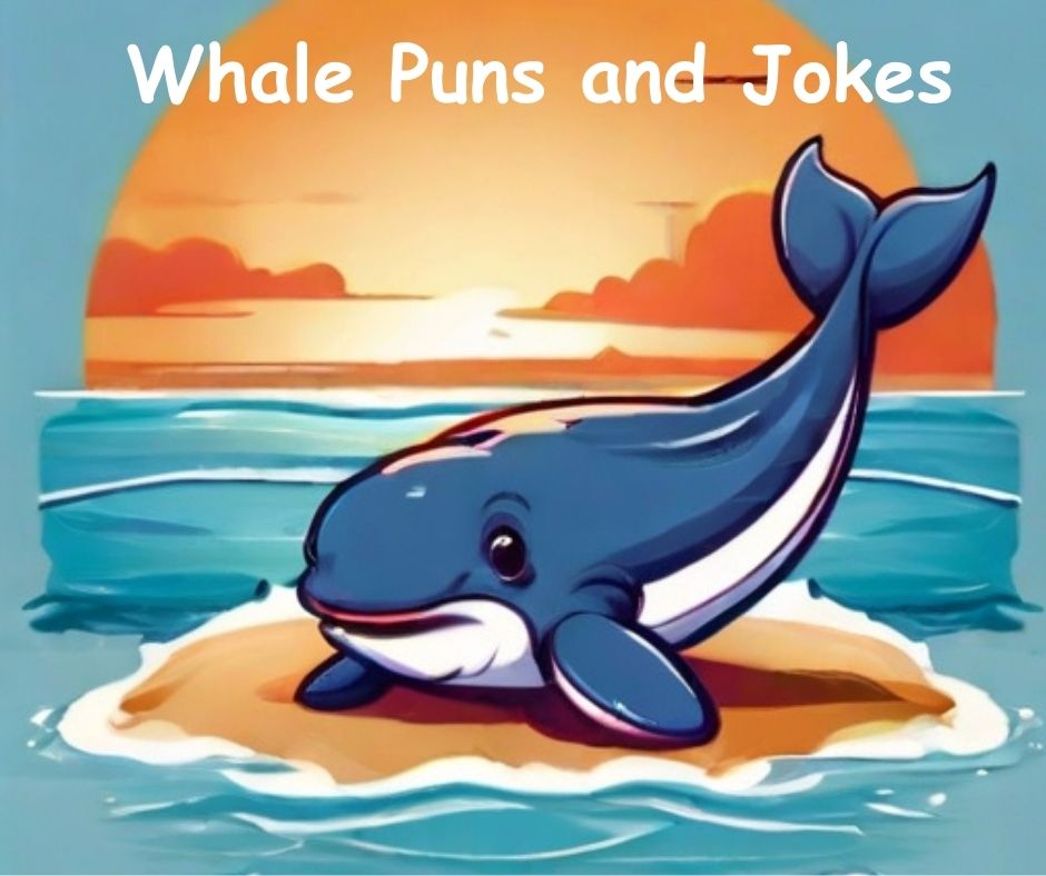 You are currently viewing 🐋 Best Whale Puns, Whale Jokes that Splash
